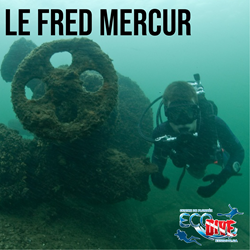 Excursions De 2 Plongées -  Fred Mercure